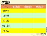 人教版七年级上册生物  3.1.1 藻类、苔藓和蕨类植物 课件