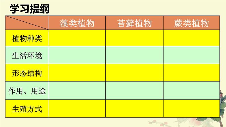 人教版七年级上册生物  3.1.1 藻类、苔藓和蕨类植物 课件04