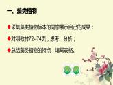 人教版七年级上册生物  3.1.1 藻类、苔藓和蕨类植物 课件