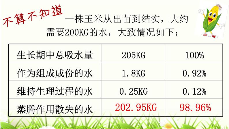 人教版七年级上册生物  3.3 绿色植物与生物圈的水循环 课件07