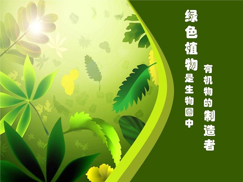 人教版七年级上册生物  3.4 绿色植物是生物圈中有机物的制造者 课件02