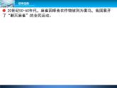 人教版八年级上册生物  5.3 动物在生物圈中的作用 课件