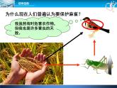 人教版八年级上册生物  5.3 动物在生物圈中的作用 课件