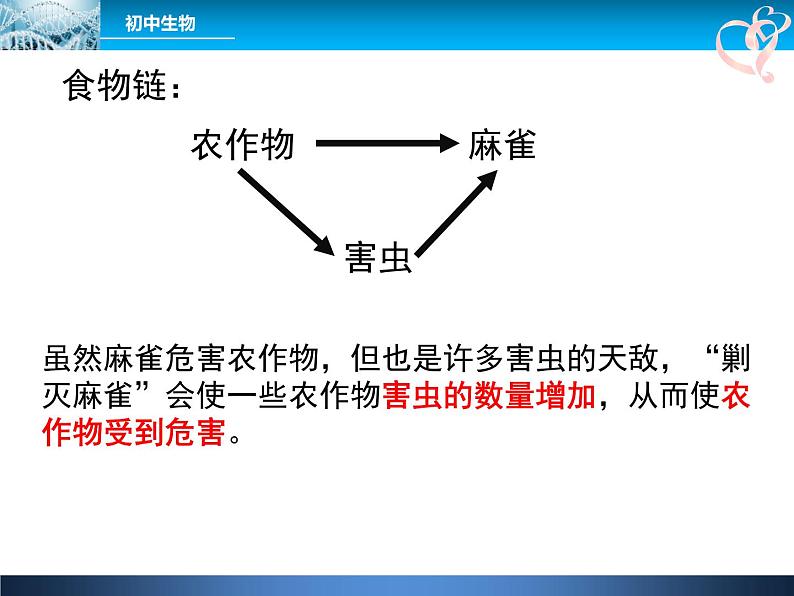 人教版八年级上册生物  5.3 动物在生物圈中的作用 课件07