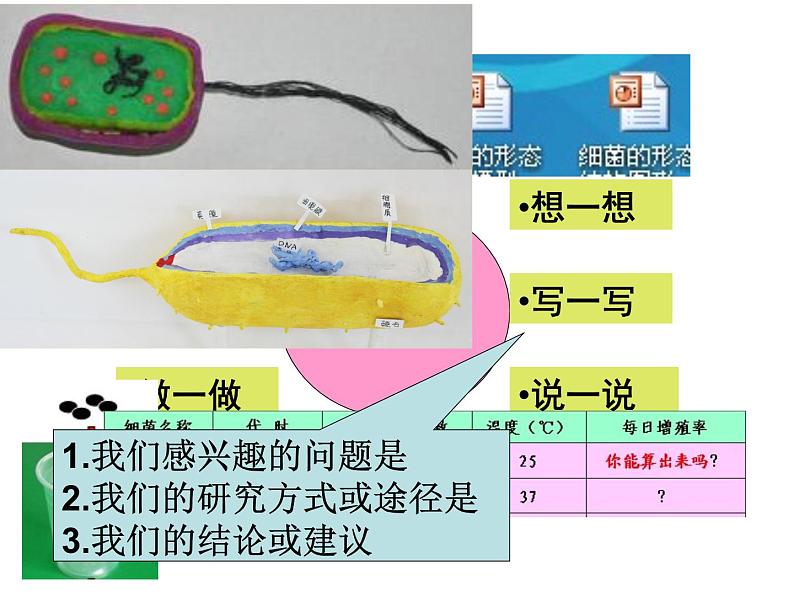 人教版八年级上册生物  5.4.2 细菌 课件04