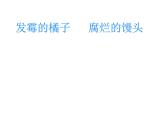 人教版八年级上册生物  5.4.3 真菌 课件
