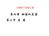 人教版八年级上册生物  5.4.3 真菌 课件