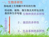 人教版八年级上册生物  6.2 认识生物的多样性 课件