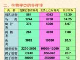 人教版八年级上册生物  6.2 认识生物的多样性 课件