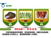 人教版八年级上册生物  5.1.3 软体动物和节肢动物 课件