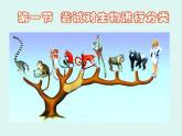 人教版八年级上册生物  6.1.1 尝试对生物进行分类 课件
