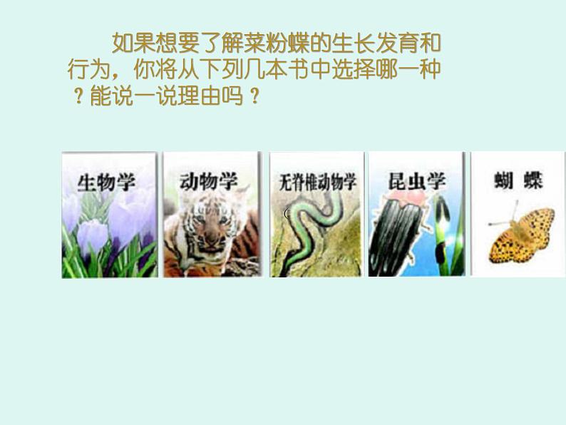 人教版八年级上册生物  6.1.1 尝试对生物进行分类 课件02