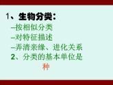 人教版八年级上册生物  6.1.1 尝试对生物进行分类 课件