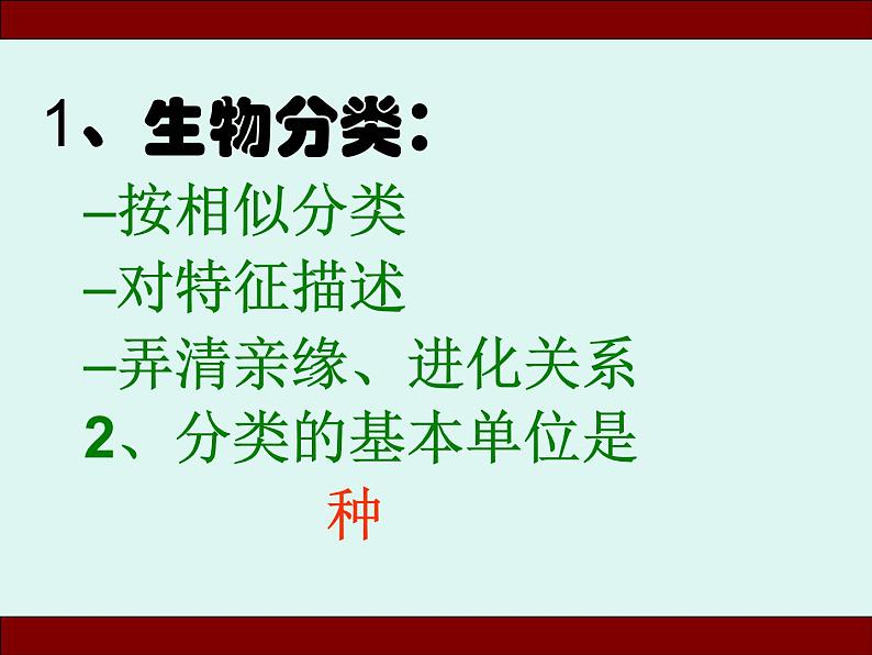 人教版八年级上册生物  6.1.1 尝试对生物进行分类 课件03