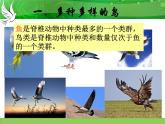 人教版八年级上册生物  5.1.6 鸟 课件