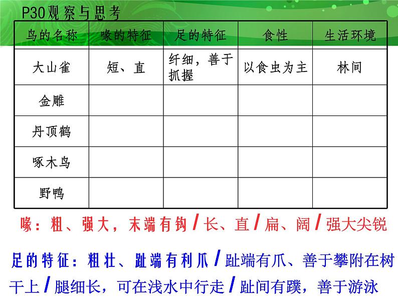 人教版八年级上册生物  5.1.6 鸟 课件03