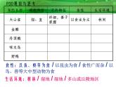 人教版八年级上册生物  5.1.6 鸟 课件