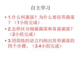人教版八年级上册生物  5.4.1 细菌和真菌的分布 课件