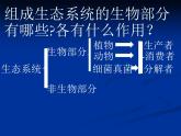 人教版八年级上册生物  5.4.4 细菌和真菌在自然界中的作用 课件
