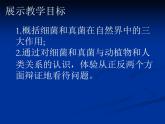 人教版八年级上册生物  5.4.4 细菌和真菌在自然界中的作用 课件