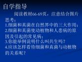人教版八年级上册生物  5.4.4 细菌和真菌在自然界中的作用 课件