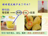 人教版八年级上册生物  5.4.5 人类对细菌和真菌的利用 课件