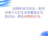 人教版八年级上册生物  5.2.1 动物的运动 课件