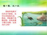 人教版八年级上册生物  5.1.5 两栖动物和爬行动物 课件