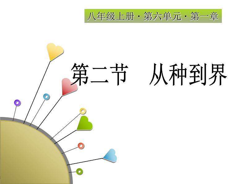 人教版八年级上册生物  6.1.2 从种到界 课件01