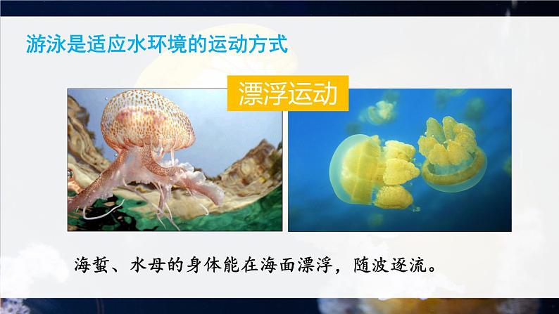 北师大版八上生物 15.1《动物运动的方式》 课件第5页