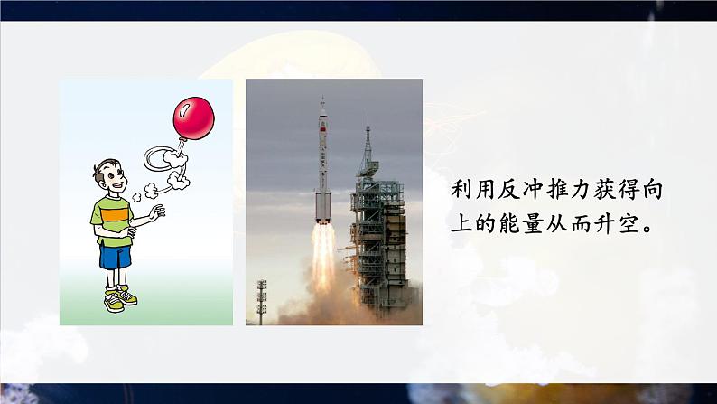 北师大版八上生物 15.1《动物运动的方式》 课件第7页