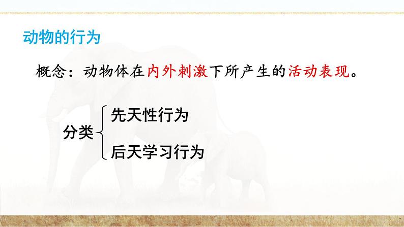 北师大版八上生物16.1《先天性行为和后天学习行为》课件+视频06