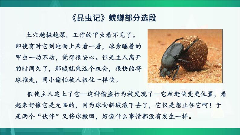 北师大版八上生物16.3《动物行为的研究》课件+视频04