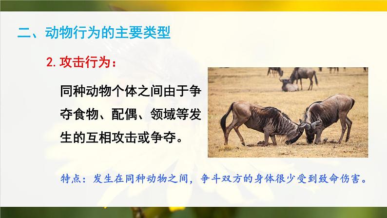 北师大版八上生物 第16章《动物的行为》 章节综合与测试 PPT课件05