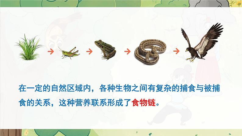 北师大版八上生物17.1《动物在生物圈中的作用》课件08