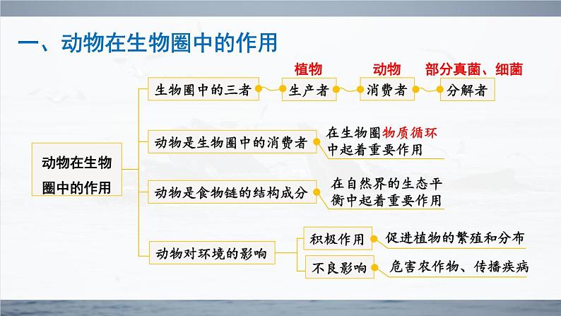 北师大版八上生物 第17章《生物圈中的动物》 章节综合与测试 PPT课件.pptx第2页