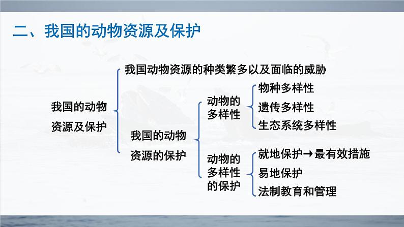 北师大版八上生物 第17章《生物圈中的动物》 章节综合与测试 PPT课件.pptx第4页