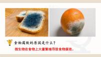 初中生物北师大版八年级上册第五单元  生物圈中的动物和微生物第18章  生物圈中的微生物第1节  微生物在生物圈中的作用完美版ppt课件