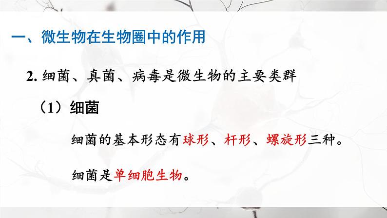 北师大版八上生物 第18章《生物圈中的微生物》 章节综合与测试 PPT课件.pptx第3页