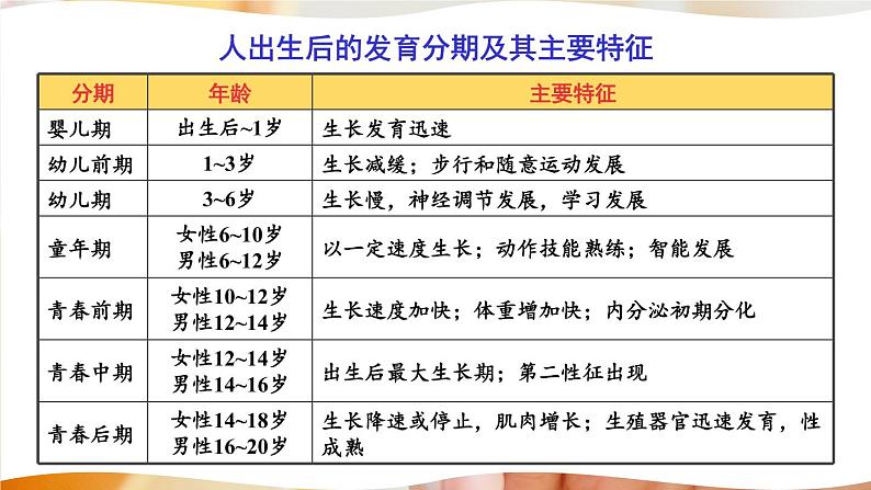 北师大版八上生物19.1《人的生殖和发育》第2课时 人的发育 课件+视频04