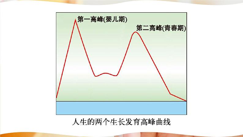 北师大版八上生物19.1《人的生殖和发育》第2课时 人的发育 课件+视频05