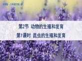 北师大版八上生物19.2《动物的生殖和发育》第1课时 昆虫的生殖和发育 课件+视频
