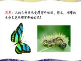 北师大版八上生物19.2《动物的生殖和发育》第1课时 昆虫的生殖和发育 课件+视频