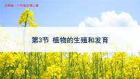 北师大版八年级上册第3节  植物的生殖方式完美版课件ppt