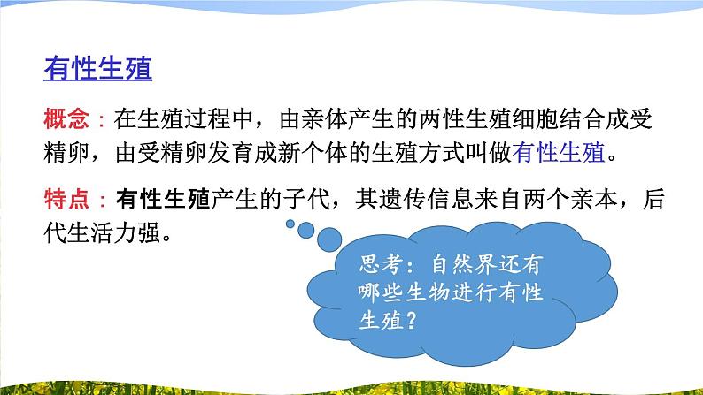 北师大版八上生物19.3《植物的生殖方式》 课件+视频03
