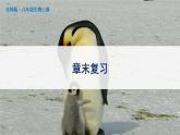 北师大版八上生物 第19章《生物的生殖和发育》 章节综合与测试 PPT课件