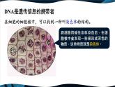 北师大版八上生物20.2《性状遗传的物质基础》 课件+视频