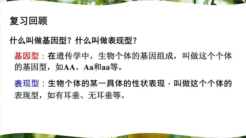 北师大版八上生物20.5《遗传与环境》 课件02
