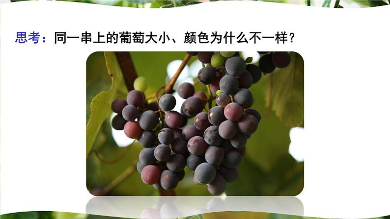 北师大版八上生物20.5《遗传与环境》 课件04