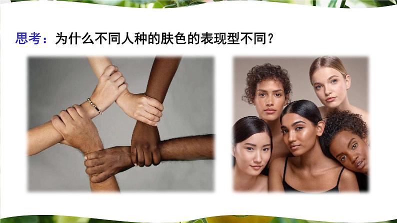 北师大版八上生物20.5《遗传与环境》 课件05